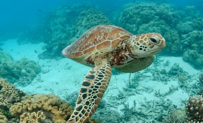 Une expérience inédite