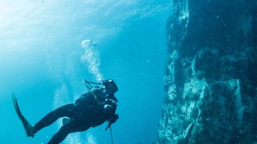 Scuba,Diving,-,Divers,And,Fishes,-,Explore,Marine,Underwater