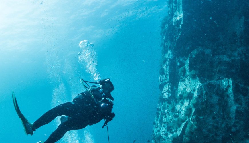 Scuba,Diving,-,Divers,And,Fishes,-,Explore,Marine,Underwater