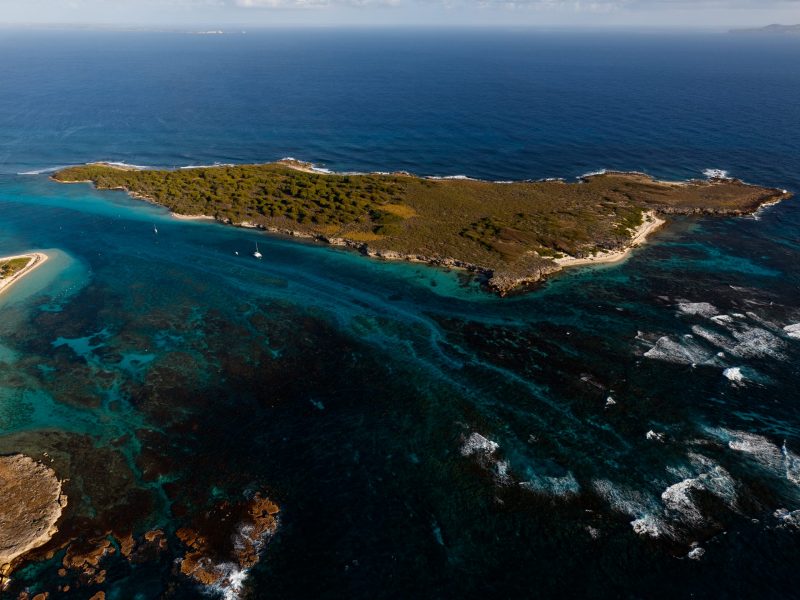 Une expérience inédite